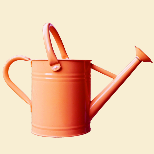 A watering can of liquid plant feed