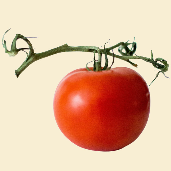 A bowl of ripe tomatoes